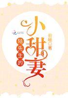 陆先生的小可爱全文免费阅读