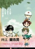 夏木灵网王在线阅读