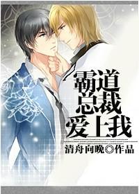 霸道总裁爱上我 作者