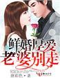 老婆别跑全文免费