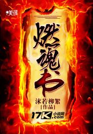 燃魂书什么意思