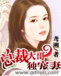 总裁大叔独宠妻