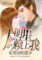 大明星爱上我 改编