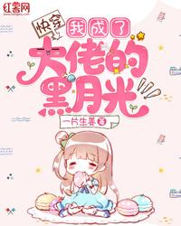 快穿之我成了大佬的白月光