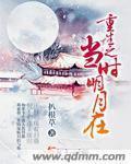 当时明月在的下一句是什么