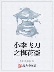 小李飞刀梅花盗夜闯少林寺是第几集