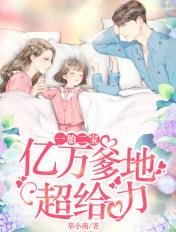 一胎二宝亿万首席爱妻入骨全文免费阅读