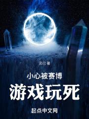 赛博系列游戏
