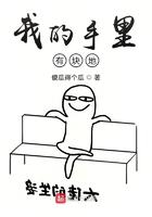 我的手里有块地txt