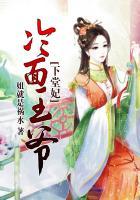 冷面王爷宠王妃