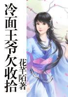 冷面王爷宠不停
