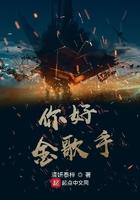 你好金歌手