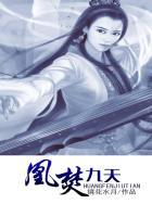 哪本书的主角叫凰九夜