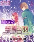 守护甜心之水婉琉璃