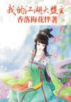 我的江湖大理完美结局