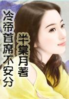 首席冷少
