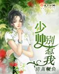 少帅你欺负人全文免费阅读