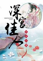 深宫免费阅读