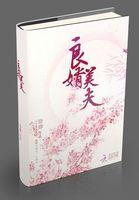 良婿美夫评论