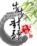 步步权谋