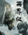 两界仪圭