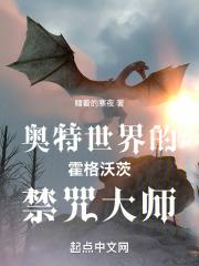 奥特世界的霍格沃茨禁咒大师是谁