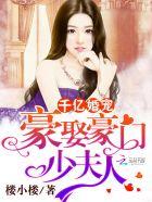 千亿宠婚豪门豪取少夫人结局