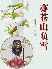 苍山负雪 明烛天南是什么意思