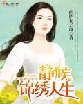 锦绣人生免费阅读