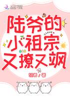 陆爷的小祖宗又撩又飒大结局