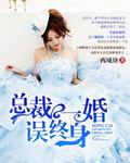 总裁一婚成瘾全文阅读