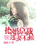 总裁夺情抢我前妻
