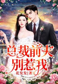 总裁前夫别乱来txt