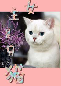 女主是只猫吗