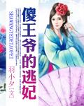 王爷傻妃穿越