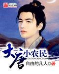 唐朝小农民txt