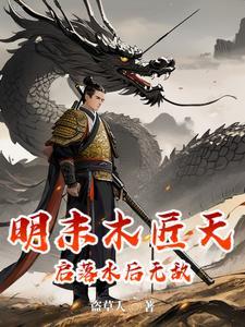 明末木匠天启落水后无敌txt
