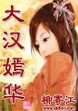 大汉嫣华笔趣阁