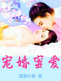 宠婚蜜爱傅先生他又想娶我了! 小林深深