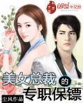 美女总裁的专职保镖段飞