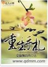 重生手记txt