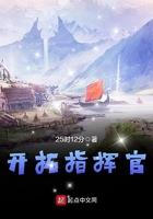 指挥官怎么开