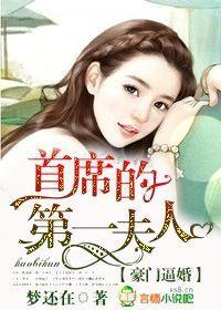 豪门第一夫人免费全书