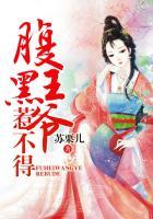 腹黑王爷惹不起