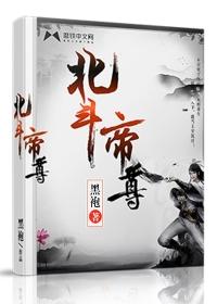 北斗帝尊李木因果