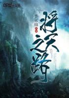 FC启天之路详细攻略
