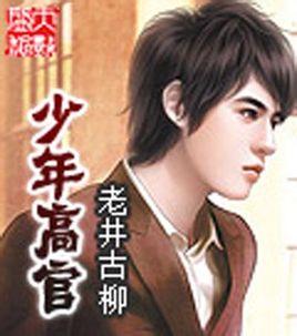 少年高官笔趣阁