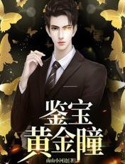 鉴宝黄金瞳TXT