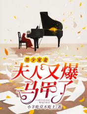 夫人又爆马甲了免费阅读女二男二