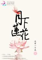 月下连连看是什么意思